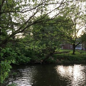 Meet your Posher, Danetza